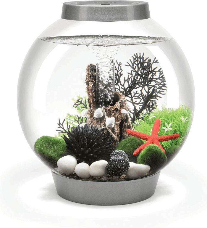Classic 15 Acrylic 4-Gallon Aquarium with White LED Lights Modern Compact Tank for Tabletop or Desktop Display, Silver-Trimmed Tank
