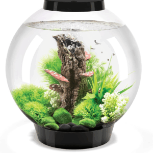 Classic 30 Acrylic 8-Gallon Aquarium with White LED Lights Modern Tank for Tabletop Display, Black