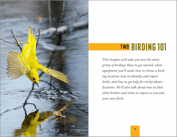 North American Bird Watching for Beginners: Field Notes on 150 Species to Start Your Birding Adventures [Spiral-Bound] Sharon Stiteler - Image 4