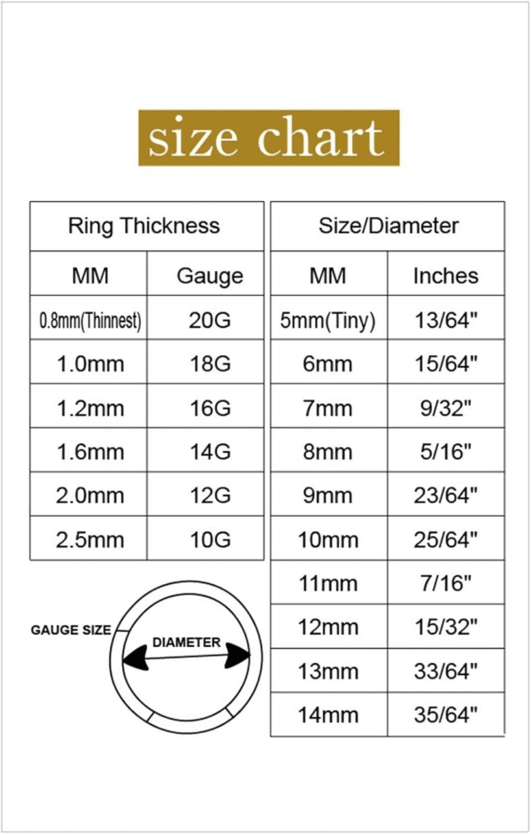 Hypoallergenic Nose Rings 20G 18G 16G 14G 12G 10G 8G 316L Surgical Steel Septum Jewelry Hinged Segment Ring Body Piercing Nose Hoop Lip Rings Nose Helix Cartilage Rook Earrings - Image 7