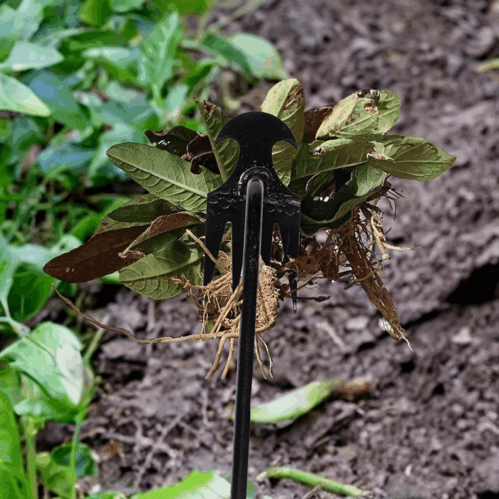 Weed Puller Tool Garden Weed Pulling Tool, Portable Garden Weeder Tool Uprooting Weeding Tool, 4 Teeth Manganese Steel Forged Hand Weeder for Vegetable Gardening Backyard Farm Planting & Weeding - Image 4