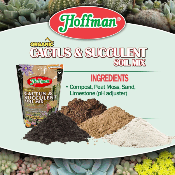 10404 Organic Cactus and Succulent Soil Mix, 4 Quarts, Brown/A - Image 4