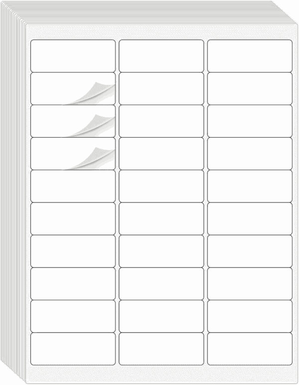 1" X 2-5/8" Address Labels 900 Labels Sticker Paper for Laser/Ink Jet Printer Mailing Labels 8.5"×11" White 30 per Sheet
