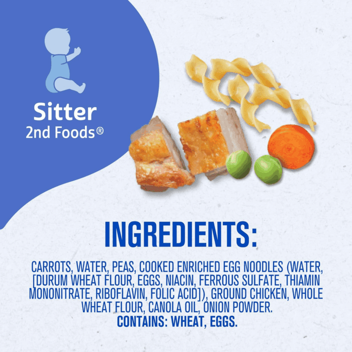 Baby Food 2Nd Foods, Dinner, Chicken Noodle Puree, 4 Ounce Tubs, 2-Pack (Pack of 8) - Image 9
