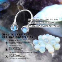 316L Surgical Steel Circular Earrings Two White Opals Surrounded by Dragon Claws Cartilage Earing Ear Body Piercing Jewelry Helix Earrings Piercing… - Image 6