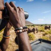 Elephant Tracking Bracelet, Elastic, Supports save the Elephants, One Size Fits Most for Men and Women - Image 9