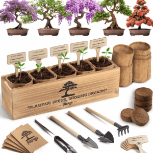 Bonsai Tree Kit – 5X Unique Japanese Bonzai Trees | Complete Indoor Starter Kit for Growing Bonsai Plants with Tools & Planters – Gardening Gifts for Women & Men