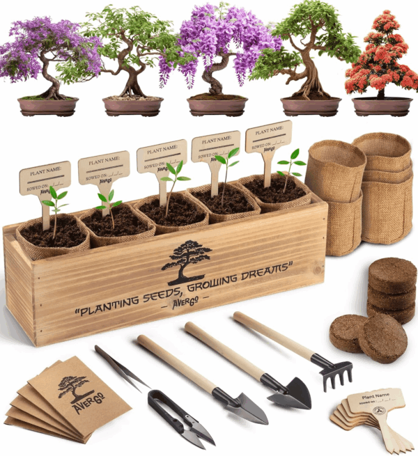 Bonsai Tree Kit – 5X Unique Japanese Bonzai Trees | Complete Indoor Starter Kit for Growing Bonsai Plants with Tools & Planters – Gardening Gifts for Women & Men