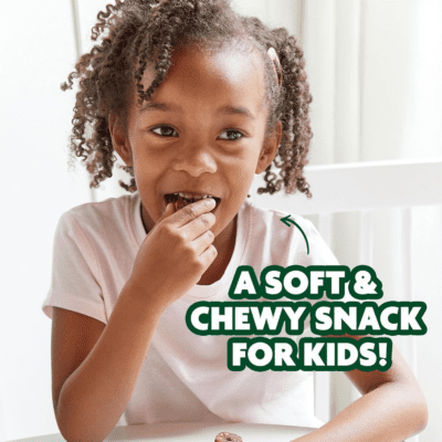 Mighty Bites, Snickerdoodle, 1 Pack, Healthy Snacks for Kids & Toddlers Made with Oats, Chia Seeds, Dates, Chocolate Chips, Sunflower Seed Butter Plant Based, High Fiber, Low Sugar Snack - Image 2