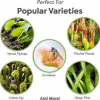 Carnivorous Plant Soil | 4 Qts. Organic Premium Mix | Use with Venus Fly Traps, Pitcher Plants, or Other Carnivorous Plants - Image 3