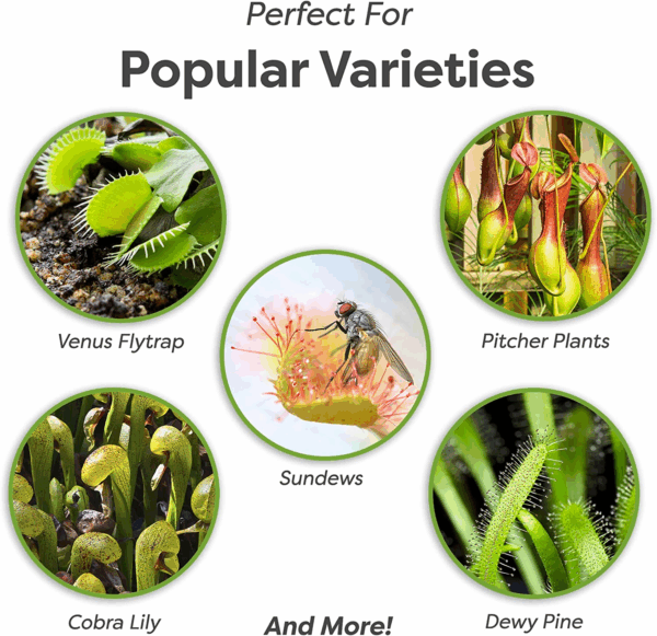 Carnivorous Plant Soil | 4 Qts. Organic Premium Mix | Use with Venus Fly Traps, Pitcher Plants, or Other Carnivorous Plants - Image 3