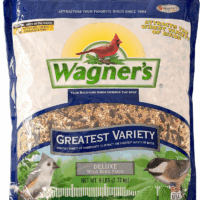 62034 Greatest Variety Blend Wild Bird Food, 6-Pound Bag