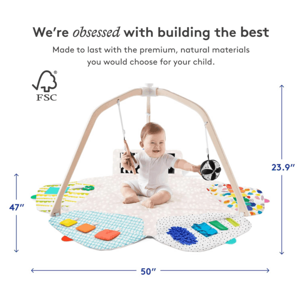 | the Play Gym | Award Winning for Baby , Stage-Based Developmental Activity Gym & Play Mat for Baby to Toddler - Image 6