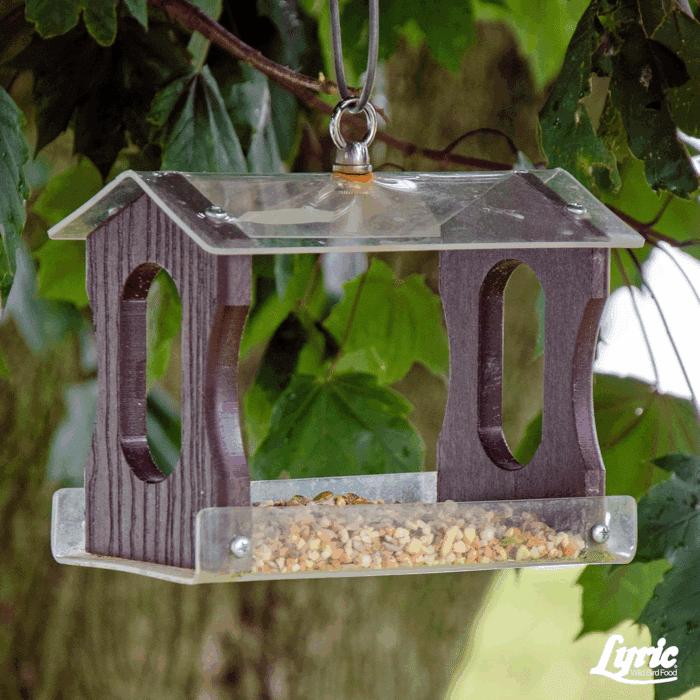 Fine Tunes Wild Bird Seed - No Waste Bird Food Mix - Attracts Bluebirds, Finches, Chickadees & More - 15 Lb. Bag - Image 8
