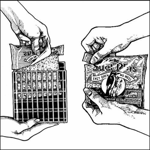 High Energy Suet Cakes, 20 Pack of 11 Oz. Suet Cakes for Wild Birds - Image 3