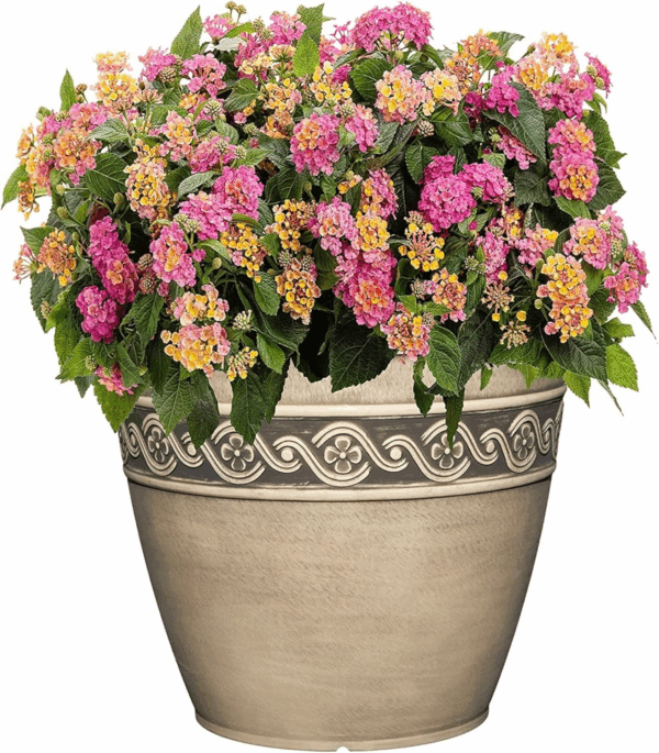 Corinthian Resin Flower Pot Planter, Concrete Grey, 13" - Image 3