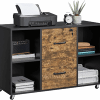 Filing Cabinet Lateral File Cabinet with 2 Drawer and 4 Open Compartments for Letter Size A4 Size, Printer Stand for Home Office, Black/Rustic Brown