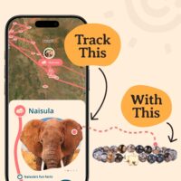 Elephant Tracking Bracelet, Elastic, Supports save the Elephants, One Size Fits Most for Men and Women - Image 5