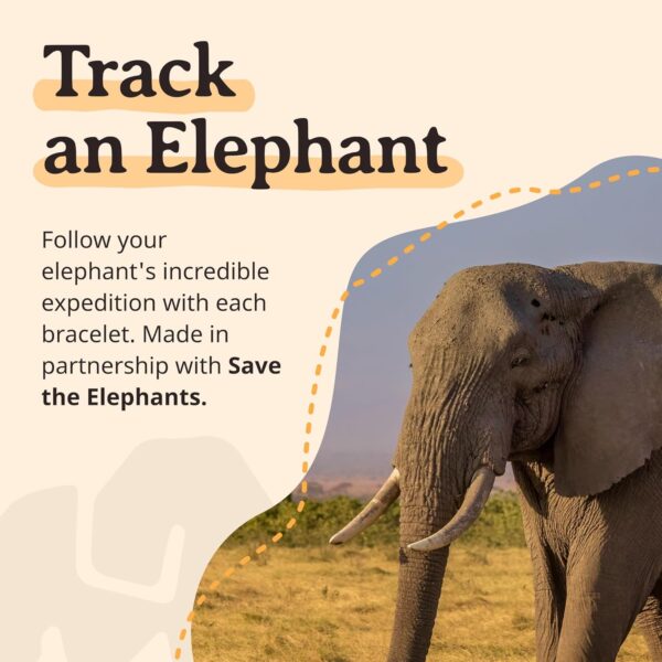 Elephant Tracking Bracelet, Elastic, Supports save the Elephants, One Size Fits Most for Men and Women - Image 7