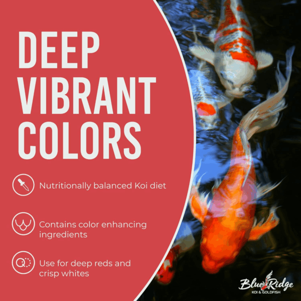 Blue Ridge Koi Fish Food 14Lb - Koi Food 3/16” Platinum Pro Formula Goldfish Food, Premium Fish Food for Ponds, Ponds Fish Food, Floating Pond Pellet - Image 5