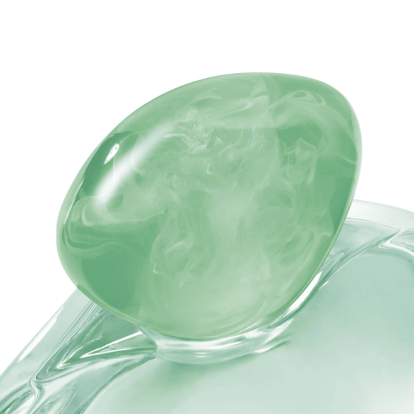 - Acqua Di Gioia - Eau De Parfum - Floral Fruity Fragance for Women - Primofiore Lemon, Water Jasmin, Cedarwood Notes - Image 8