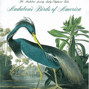 Birds of America (Tiny Folio) by John James Audubon (1991-10-17)