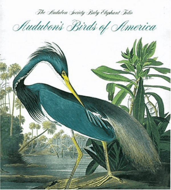 Birds of America (Tiny Folio) by John James Audubon (1991-10-17)