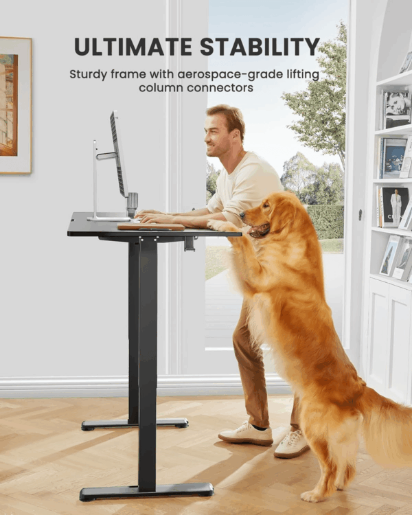 Height Adjustable Electric Standing Desk, 48 X 24 Inches Sit Stand up Desk, Memory Computer Home Office Desk (Black) - Image 4