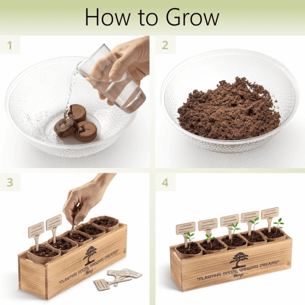 Bonsai Tree Kit – 5X Unique Japanese Bonzai Trees | Complete Indoor Starter Kit for Growing Bonsai Plants with Tools & Planters – Gardening Gifts for Women & Men - Image 2