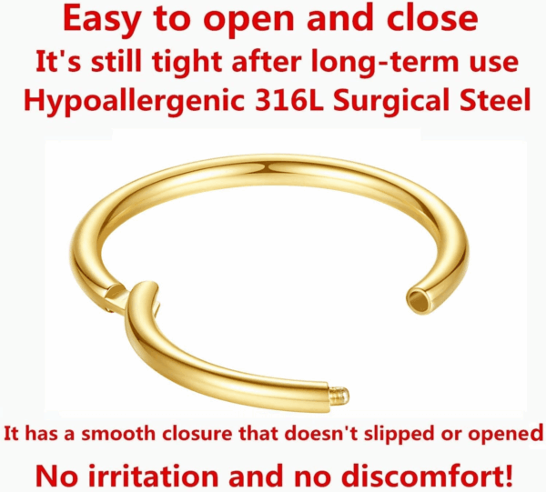 Hypoallergenic Nose Rings 20G 18G 16G 14G 12G 10G 8G 316L Surgical Steel Septum Jewelry Hinged Segment Ring Body Piercing Nose Hoop Lip Rings Nose Helix Cartilage Rook Earrings - Image 3