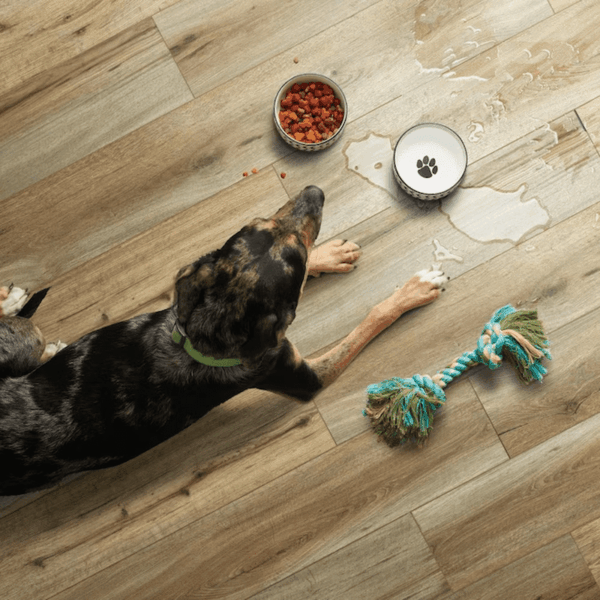 by Coretec Floors Burbank Oak Brown Wood Look 20-Mil X 7-In W X 48-In L Waterproof and Water Resistant Interlocking Luxury Vinyl Plank Flooring ( 16.54-Sq Ft Carton ) - Image 5