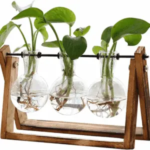 Plant Terrarium with Wooden Stand, Air Planter Bulb Glass Vase Metal Swivel Holder Retro Tabletop for Hydroponics Home Garden Office Decoration - 3 Bulb Vase