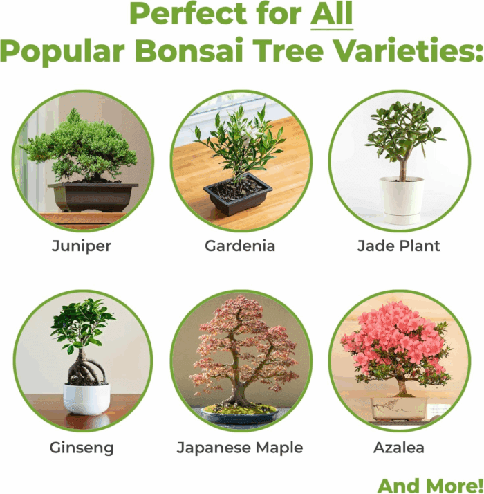Bonsai Soil by  - 2Qts. | Premium All-Purpose Mix Bonsai Tree Varieties - Image 3