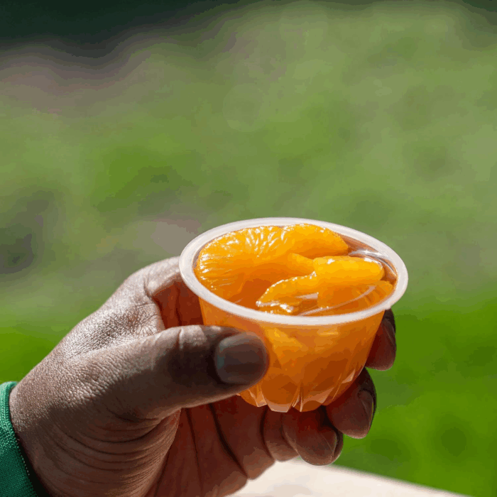 Cherry Mixed Fruit Fruit Bowls Snack in 100% Fruit Juice 12 - 4 Oz Cups - Image 8