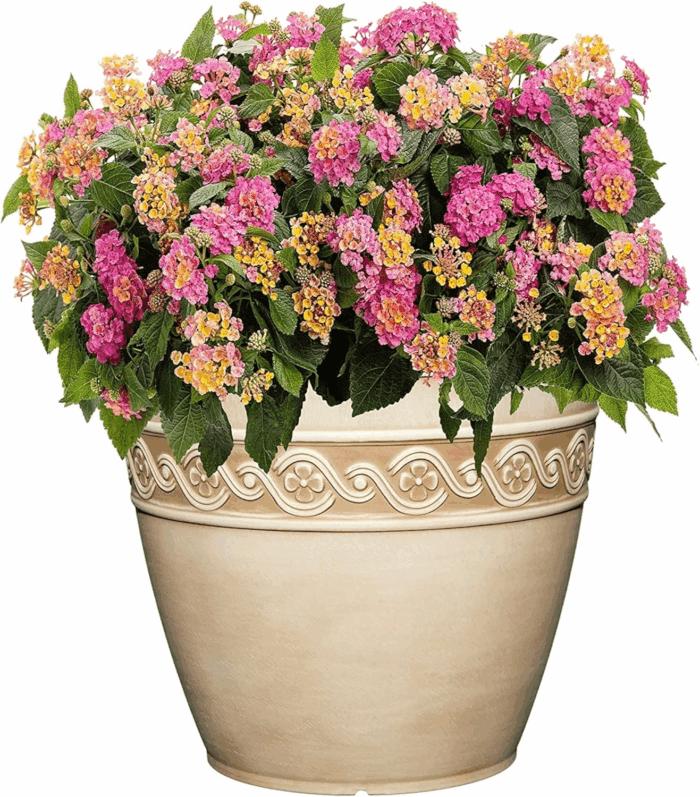 Corinthian Resin Flower Pot Planter, Desert Tan, 8" - Image 2