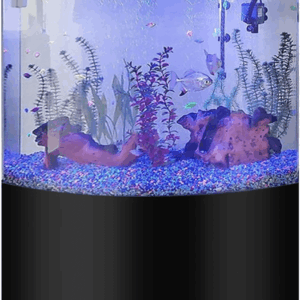 Water World Luxury Large Bow Front Acrylic Aquarium with Built-In Stand and Storage Top (LM2) – 360° View – Great for Freshwater and Saltwater Fish – 58 Gallons