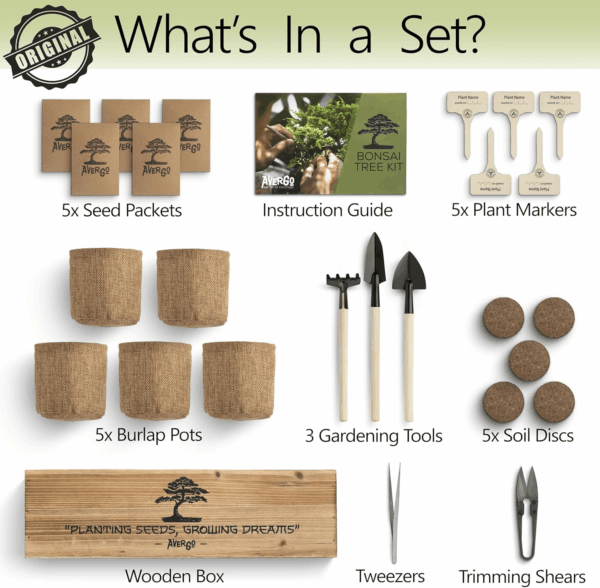 Bonsai Tree Kit – 5X Unique Japanese Bonzai Trees | Complete Indoor Starter Kit for Growing Bonsai Plants with Tools & Planters – Gardening Gifts for Women & Men - Image 6