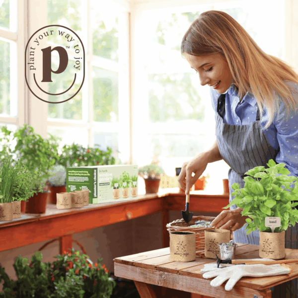 9 Herb Indoor Window Garden Kit - Mother'S Day Gift - House Plants Seeds - Best Unique Gift Ideas for Women, Mom, Friend, Her, Birthday, Housewarming, Mother - New Home Kitchen Gifts - Image 3
