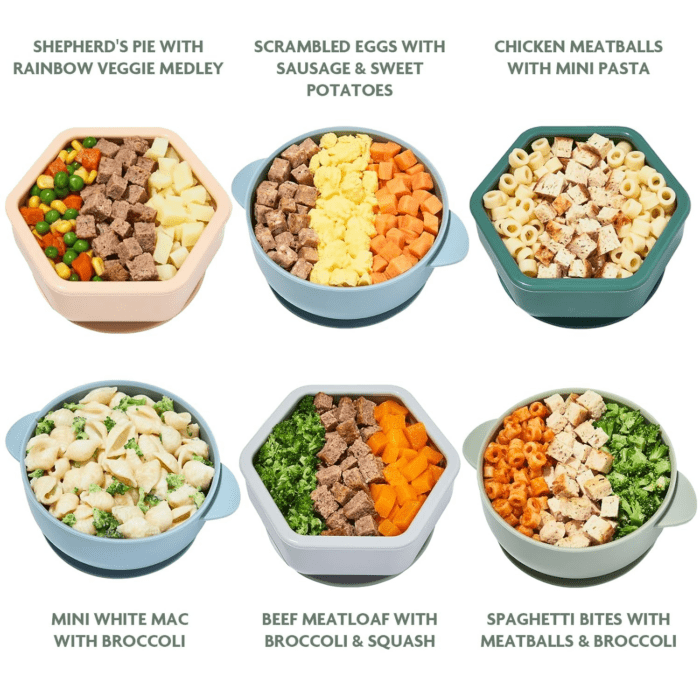 Finger Foods, Beef Chicken Pasta 6 Meal Variety Pack, Organic Focused Freshly Made Baby & Toddler Meals, Stage 3 Self-Feeding Ready to Eat Meals, Veggies, Proteins, Refrigerated Delivery - Image 2