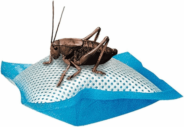 Reptile Food Cricket Water Pillows, 6-Pack - Image 2