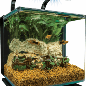 Contour 3 Aquarium Kit 3 Gallons, Rounded Glass Corners, Includes LED Lighting