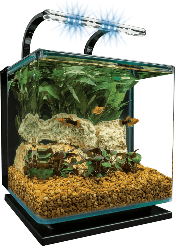 Contour 3 Aquarium Kit 3 Gallons, Rounded Glass Corners, Includes LED Lighting