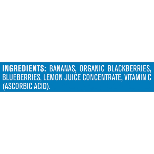2Nd Foods Banana Blackberry Blueberry 4 Ounce Tubs, 2 Count (Pack of 8) - Image 8