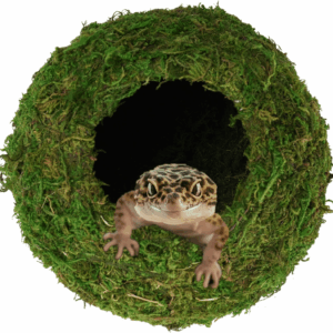 Mossy Caves, Artificial Green Moss Caves Hide for Pet Reptile Frogs and Snakes, Terrarium & Vivarium Decor, Crested Gecko Tank Decor (4" - Woodland Green)