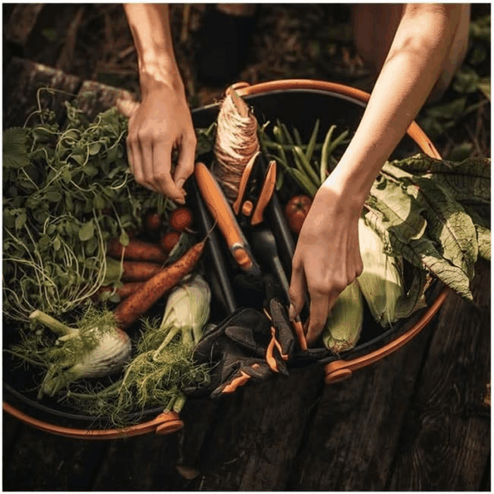 Garden Harvest Basket - Container for Gardening and Harvesting with Tool Caddy - Harvesting Basket Doubles as a Collander for Vegetables and Fruits - Garden Accessories - Image 8
