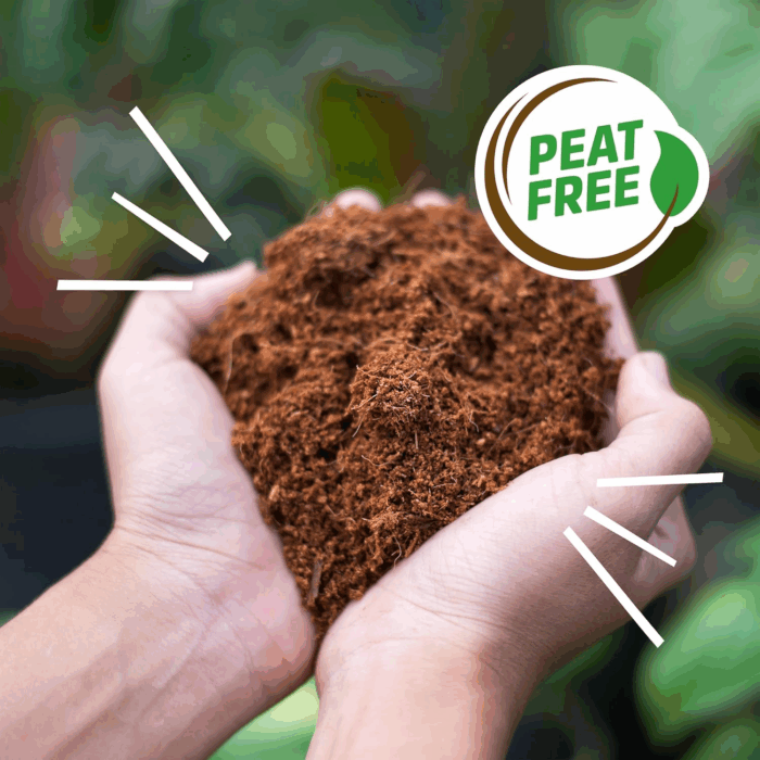 Organic Coir, 51 Quart Expanding Soil, Great for Seeds and Potting - Image 8