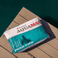 Aquamax Pond Fish 2000 | Floating Pond Fish Food for Ponds and Lakes | Bluegill Fish Food, Game Fish Food, Catfish, Koi & Bass Food, 50 Pound (50 LB) Bag - Image 2
