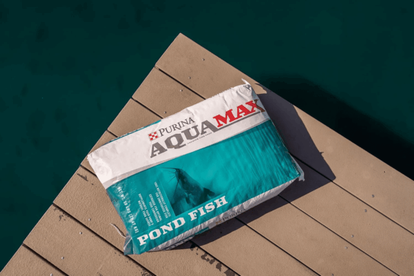 Aquamax Pond Fish 2000 | Floating Pond Fish Food for Ponds and Lakes | Bluegill Fish Food, Game Fish Food, Catfish, Koi & Bass Food, 50 Pound (50 LB) Bag - Image 2