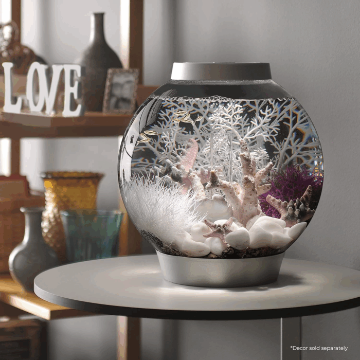 Classic 15 Acrylic 4-Gallon Aquarium with White LED Lights Modern Compact Tank for Tabletop or Desktop Display, Silver-Trimmed Tank - Image 2