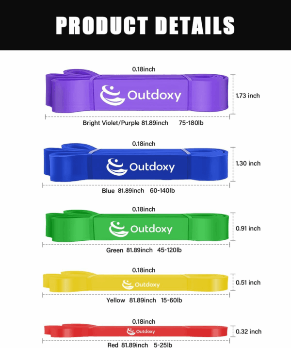 Resistance Bands, Pull up Assistance Bands Set of 5(4), Exercise Bands for Men & Women, Heavy Duty Stretch Exercise Bands, Resistance Bands for Working Out, Muscle Training - Image 2